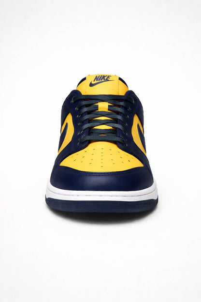 NlKE Dunk Low Michigan